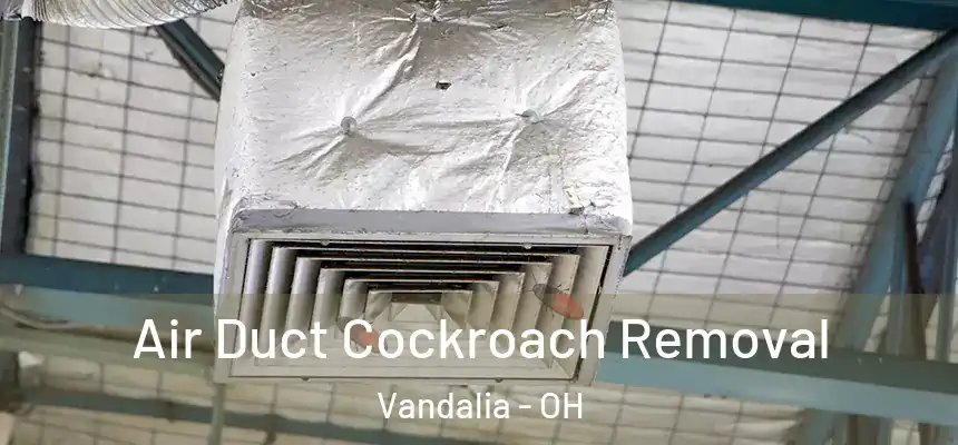  Air Duct Cockroach Removal Vandalia - OH