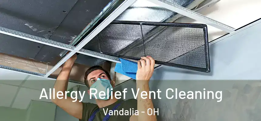  Allergy Relief Vent Cleaning Vandalia - OH