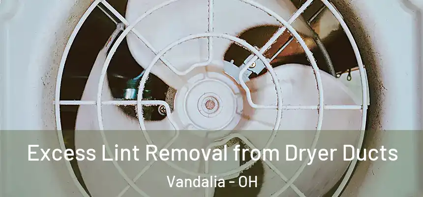  Excess Lint Removal from Dryer Ducts Vandalia - OH
