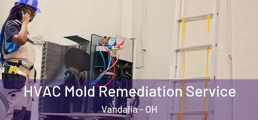  HVAC Mold Remediation Service Vandalia - OH