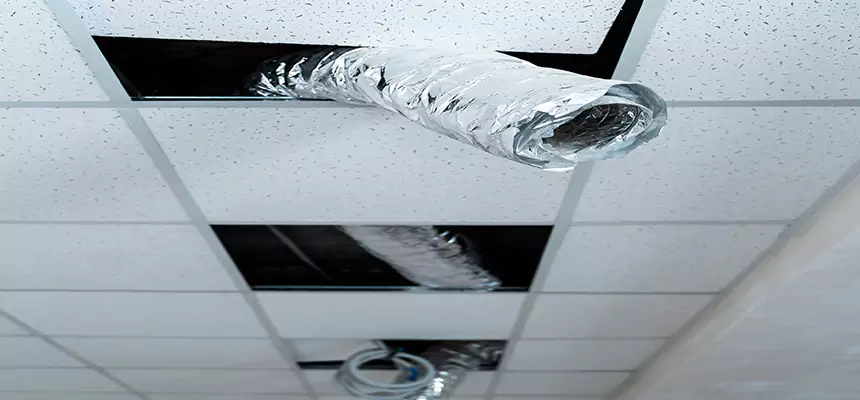 Our Air Duct Pet Hair Removal Services in Vandalia, OH