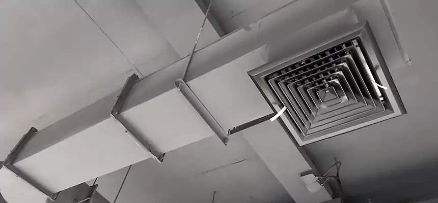 Our Pest Removal From Ducts Services in Vandalia, OH