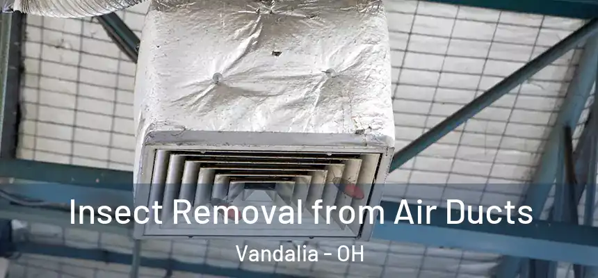  Insect Removal from Air Ducts Vandalia - OH
