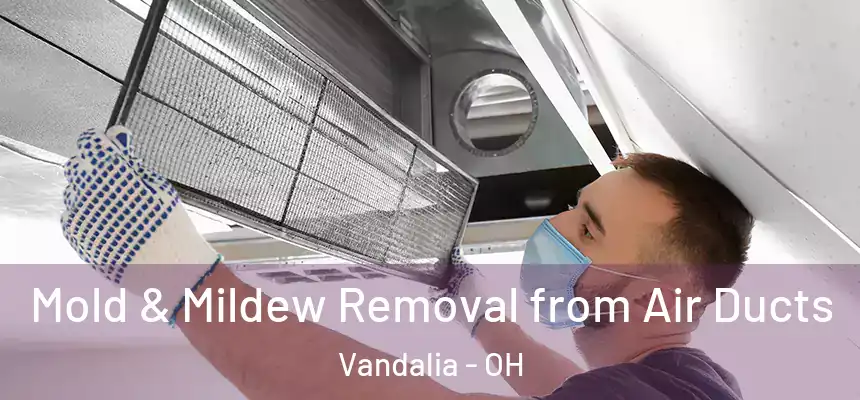  Mold & Mildew Removal from Air Ducts Vandalia - OH