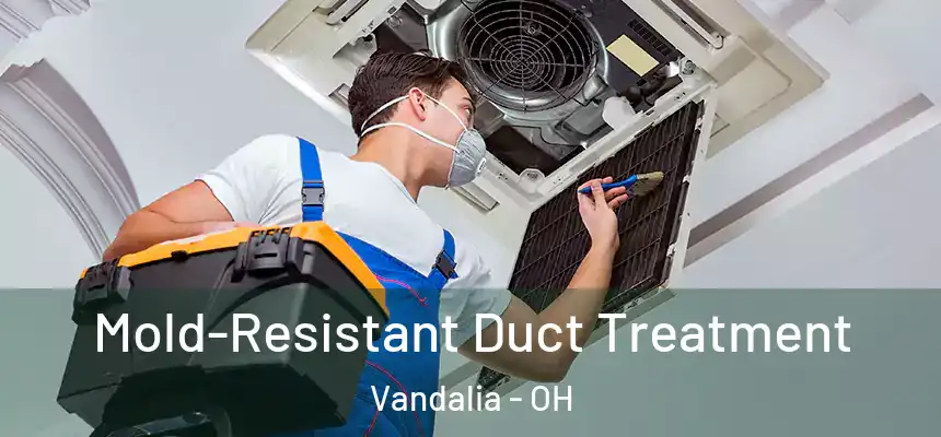  Mold-Resistant Duct Treatment Vandalia - OH