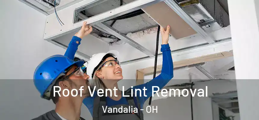  Roof Vent Lint Removal Vandalia - OH