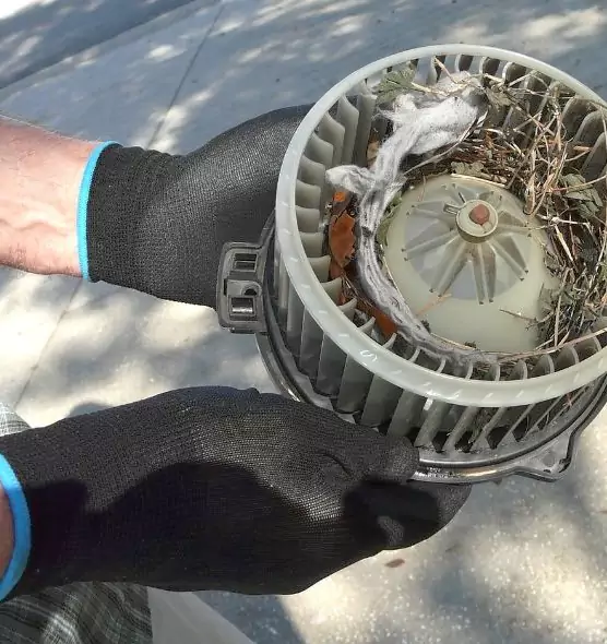 About Air Duct Mice Removal in Vandalia, OH