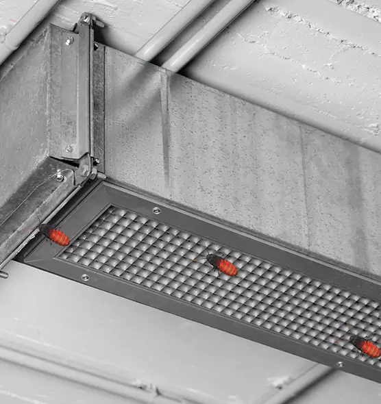 Affordable Insect Removal from Air Ducts in Vandalia, OH
